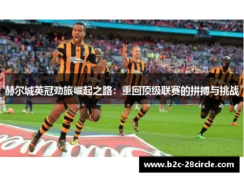 赫尔城英冠劲旅崛起之路：重回顶级联赛的拼搏与挑战