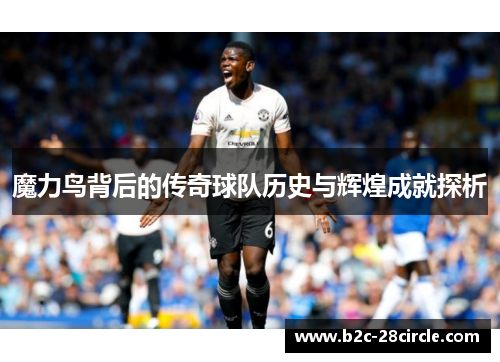 魔力鸟背后的传奇球队历史与辉煌成就探析