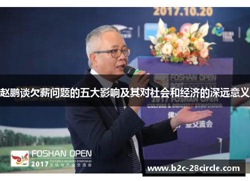 赵鹏谈欠薪问题的五大影响及其对社会和经济的深远意义